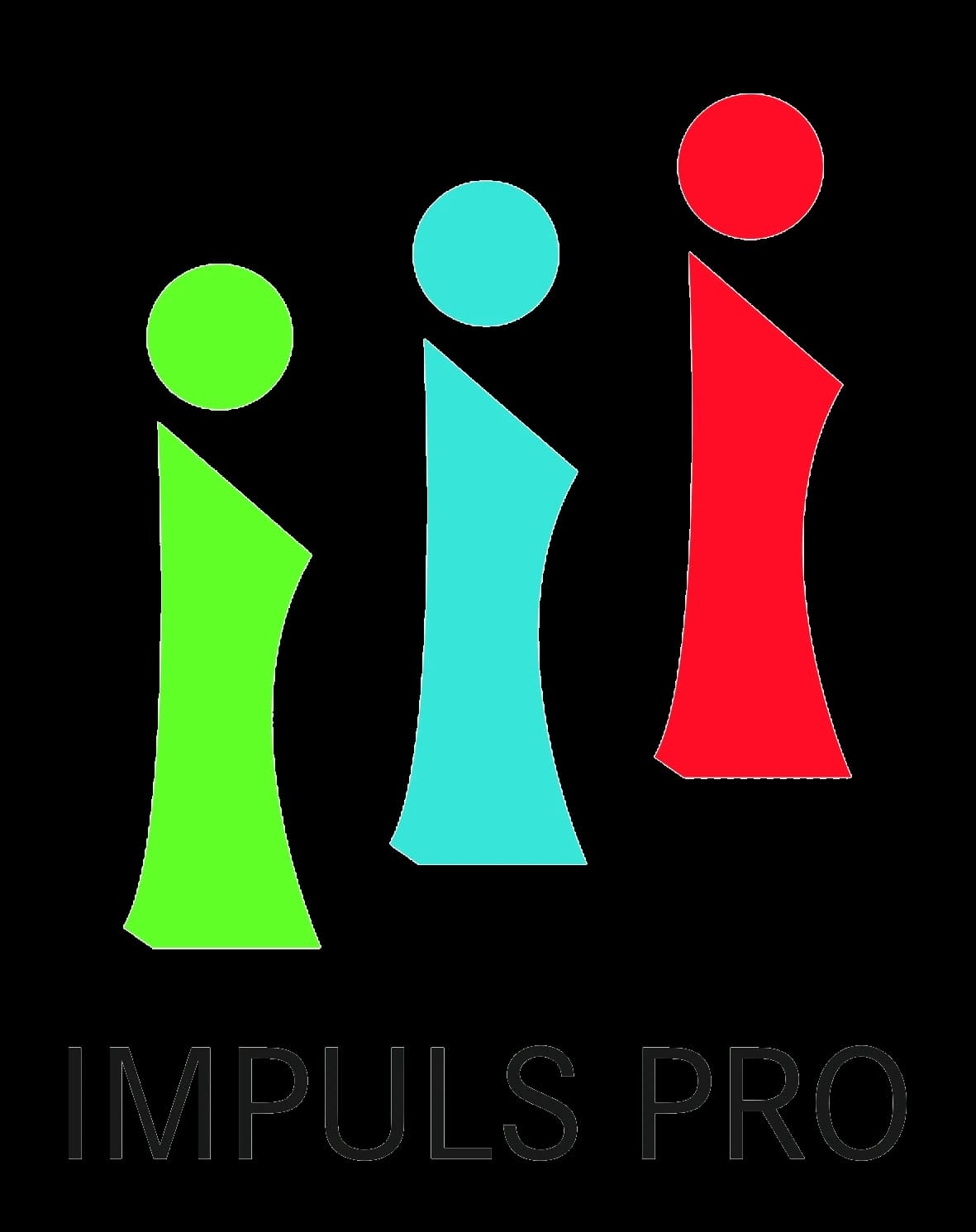 Mitglied bei Impuls Pro